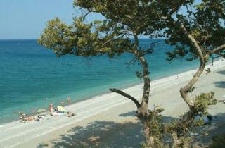 Άλλο 1.000 τ.μ. για πώληση, Ν. Λάρισας, Ευρύμενο-thumb-7