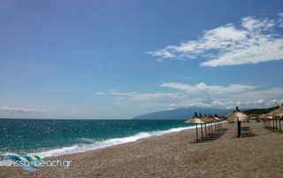 Άλλο 1.000 τ.μ. για πώληση, Ν. Λάρισας, Ευρύμενο-thumb-9