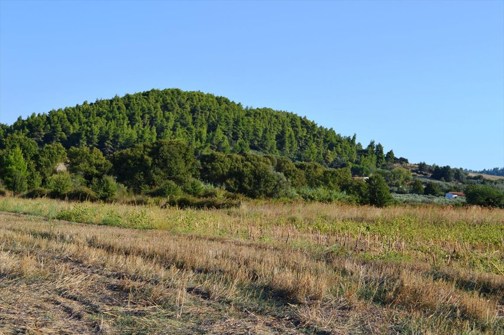 Οικόπεδο 4.000 τ.μ. προς πώληση, Σωλήνα
