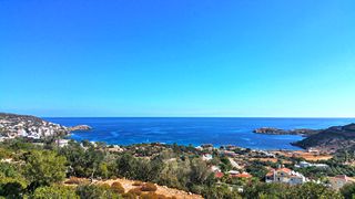 Οικόπεδο 15.000 τ.μ. για πώληση