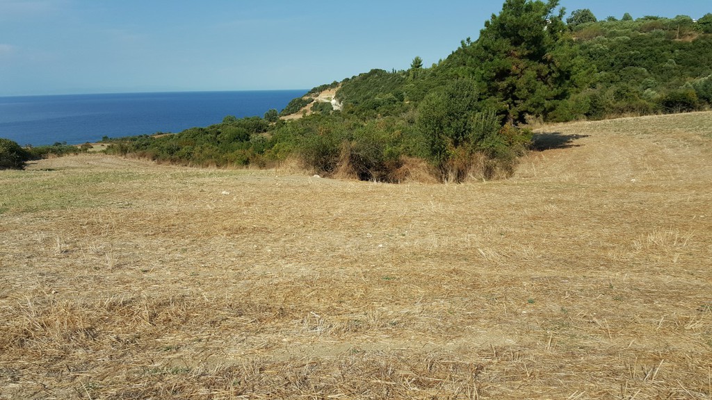 Οικόπεδο 7.000 τ.μ. προς πώληση, Λιμάνι Σταγείρων - Ακάνθου