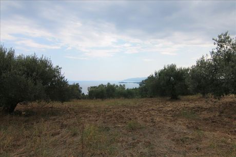 Land plot 4.600sqm for sale-Sithonia » Salonikiou