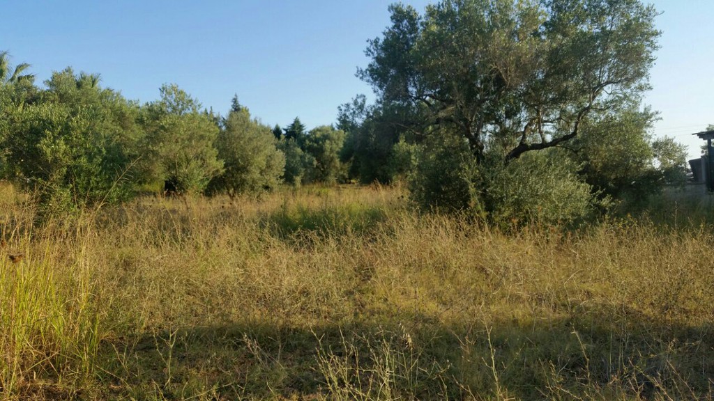 Οικόπεδο 4.250 τ.μ. προς πώληση, Καλάνδρα