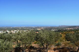 Οικόπεδο 8.556 τ.μ. για πώληση