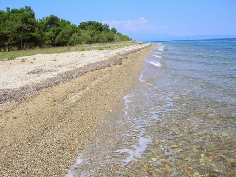 Land plot 4.012sqm for sale-Thasos » Ormos Prinou