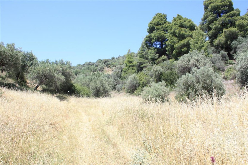 Οικόπεδο 2.000 τ.μ. προς πώληση, Νέος Μαρμαράς