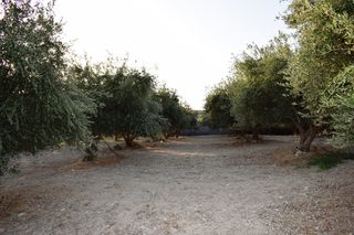 Οικόπεδο 4.800 τ.μ. για πώληση, Ν. Ρεθύμνου, Ρέθυμνο-thumb-2