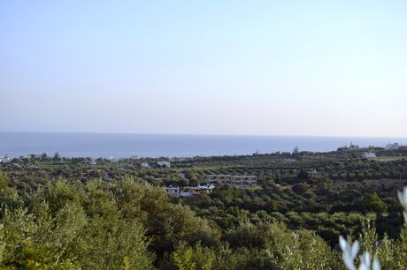 Land plot 4.800sqm for sale-Rethimno » Platanias