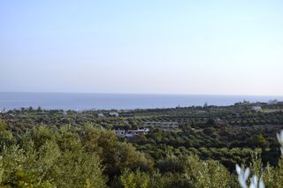 Οικόπεδο 4.800 τ.μ. για πώληση