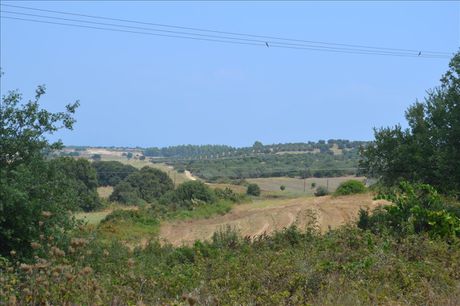 Land plot 10.500sqm for sale-Kassandra » Kassandreia
