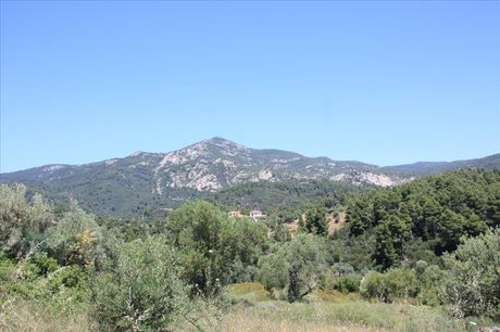 Land plot 4.990sqm for sale-Sithonia » Limani Karra