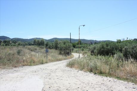 Land plot 3.500sqm for sale-Sithonia » Limani Karra