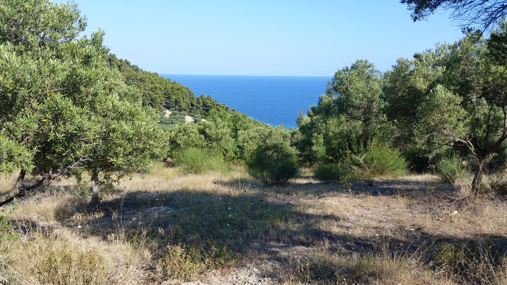 Οικόπεδο 9.100 τ.μ. προς πώληση, Καλάνδρα