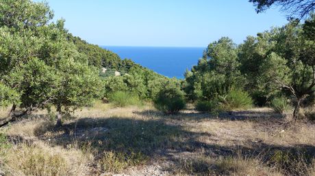 Οικόπεδο 9.100τ.μ. για πώληση-Κασσάνδρα » Καλάνδρα