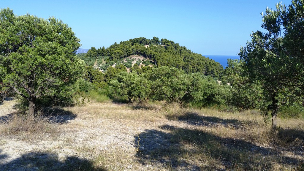 Οικόπεδο 9.100 τ.μ. προς πώληση, Καλάνδρα