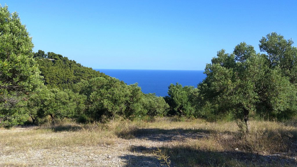 Οικόπεδο 9.100 τ.μ. προς πώληση, Καλάνδρα