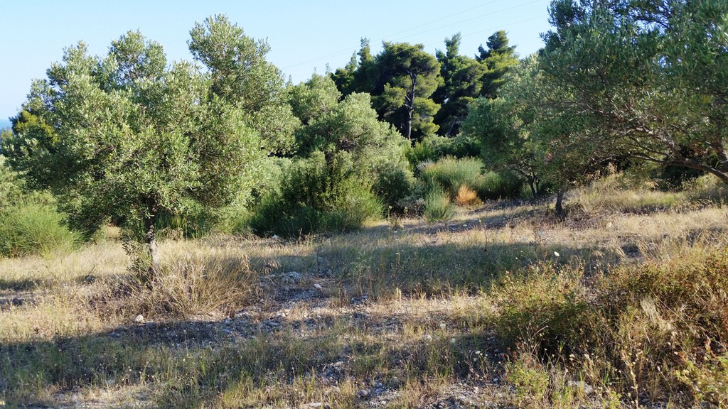 Οικόπεδο 9.100 τ.μ. προς πώληση, Καλάνδρα