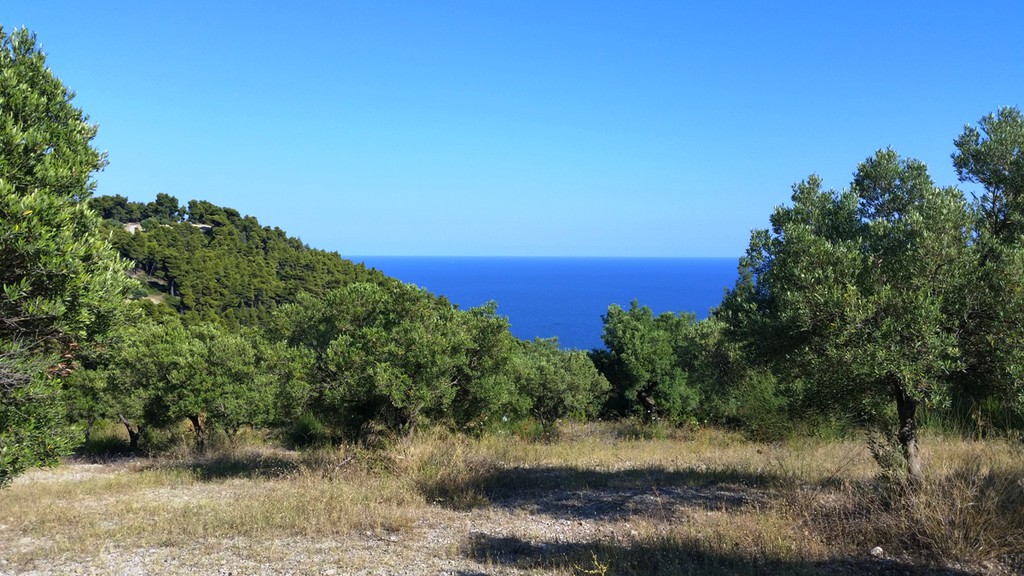 Οικόπεδο 9.100 τ.μ. προς πώληση, Καλάνδρα