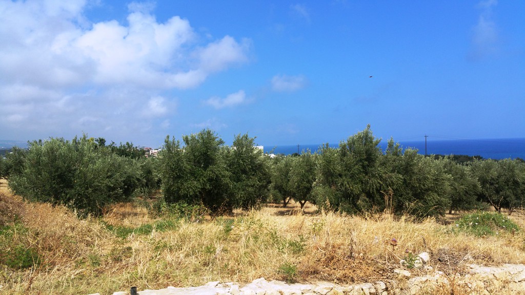 Οικόπεδο 20.000 τ.μ. πρός πώληση, Ν. Ρεθύμνου, Αρκάδι