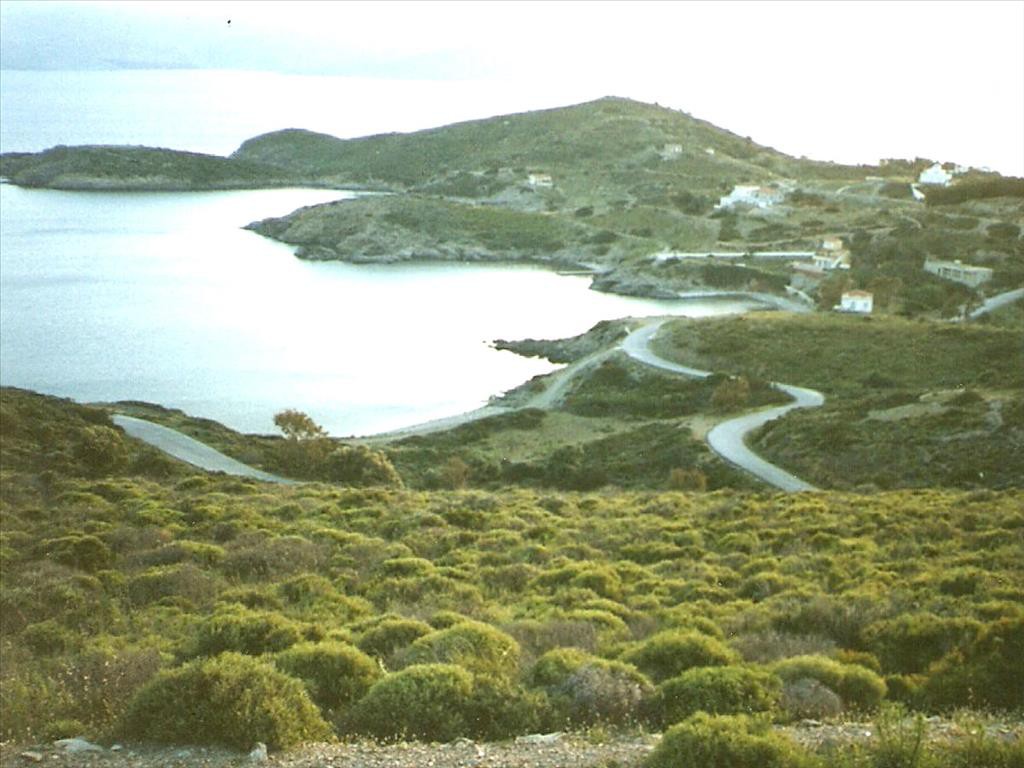 Οικόπεδο 76.000 τ.μ. προς πώληση, Ιωνία