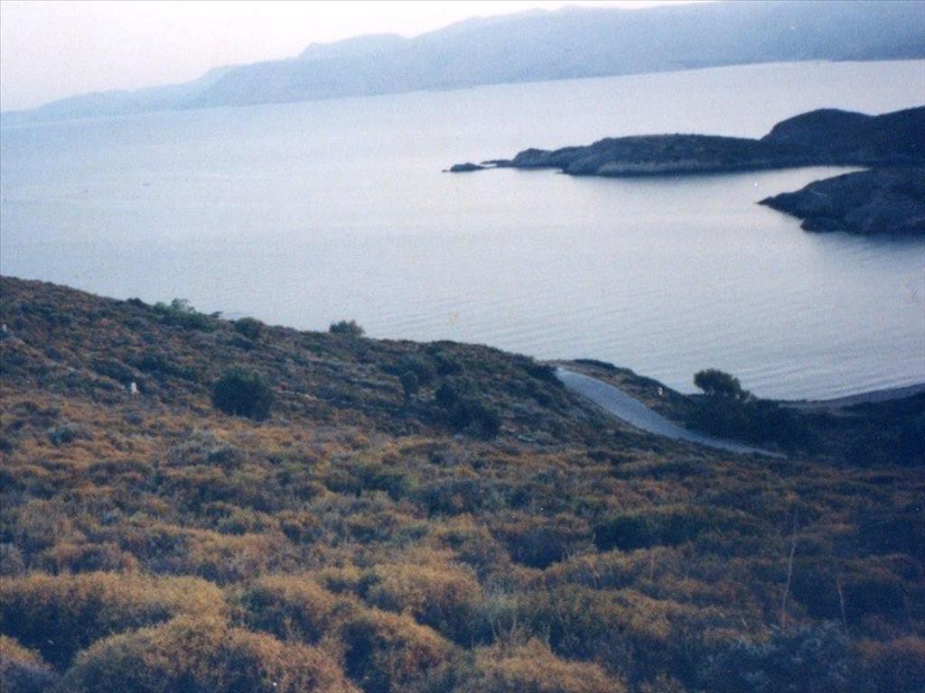 Οικόπεδο 76.000 τ.μ. προς πώληση, Ιωνία