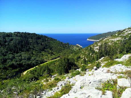 Οικόπεδο 5.000τ.μ. για πώληση-Παξοί » Βελιανιτάτικα