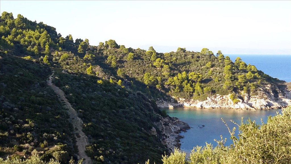 Οικόπεδο 12.000 τ.μ. προς πώληση, Βαλτί Τορώνης