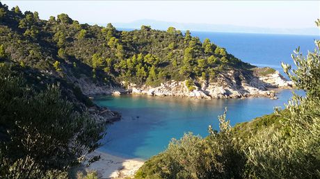 Οικόπεδο 12.000τ.μ. για πώληση-Τορώνη » Βαλτί