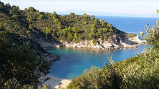 Οικόπεδο 12.000 τ.μ. προς πώληση