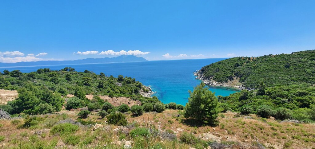 Οικόπεδο 12.000 τ.μ. προς πώληση, Βαλτί Τορώνης