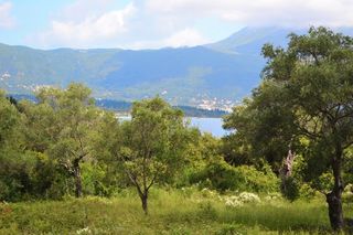 Οικόπεδο 5.500 τ.μ. για πώληση