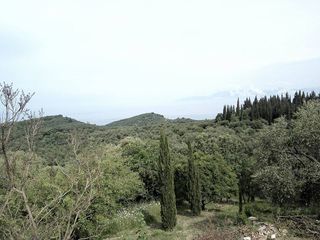 Οικόπεδο 17.000 τ.μ. προς πώληση, Θινάλιο-thumb-5