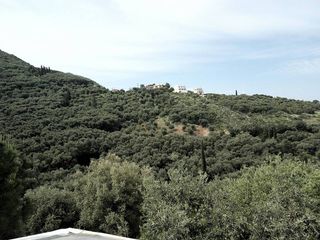 Οικόπεδο 17.000 τ.μ. προς πώληση, Θινάλιο-thumb-4