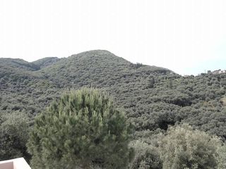 Οικόπεδο 17.000 τ.μ. προς πώληση, Θινάλιο-thumb-6