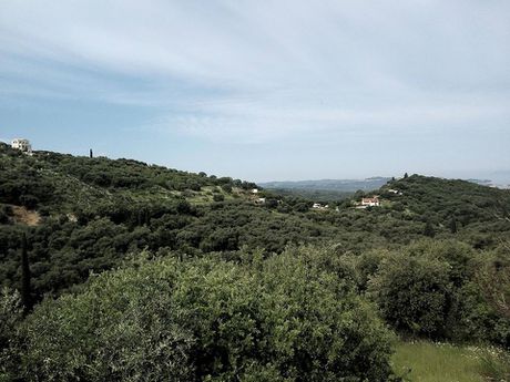 Land plot 17.000sqm for sale-Corfu » Thinalio