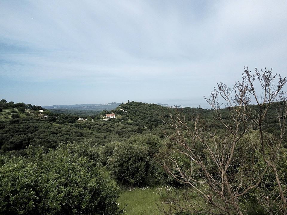 Οικόπεδο 17.000 τ.μ. προς πώληση, Θινάλιο