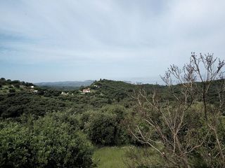 Οικόπεδο 17.000 τ.μ. προς πώληση, Θινάλιο-thumb-1