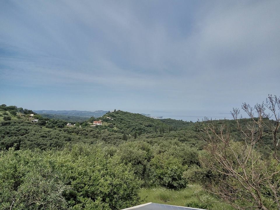 Οικόπεδο 17.000 τ.μ. προς πώληση, Θινάλιο