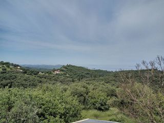 Οικόπεδο 17.000 τ.μ. προς πώληση, Θινάλιο-thumb-3