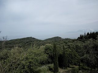 Οικόπεδο 17.000 τ.μ. προς πώληση, Θινάλιο-thumb-7