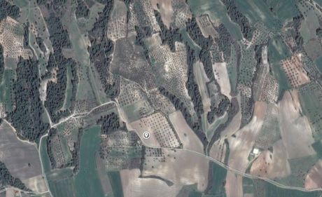 Land plot 14.528sqm for sale-Kassandra » Siviri