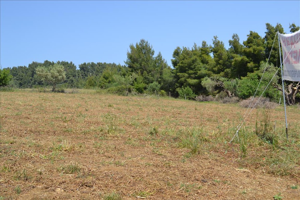Οικόπεδο 4.650 τ.μ. προς πώληση, Παλιούρι Παλλήνης