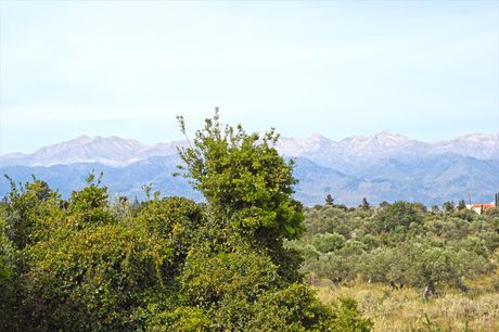 Land plot 20.000sqm for sale-Vamos » Drapanos
