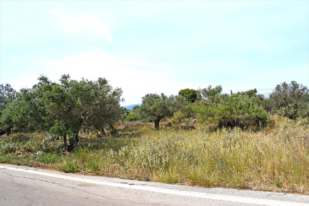 Οικόπεδο 1.673 τ.μ. προς πώληση, Καμπιά Βάμου