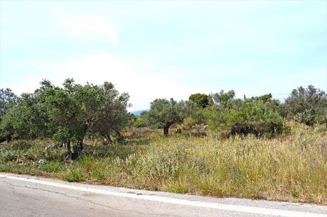 Land plot 1.673sqm for sale-Vamos » Kampia
