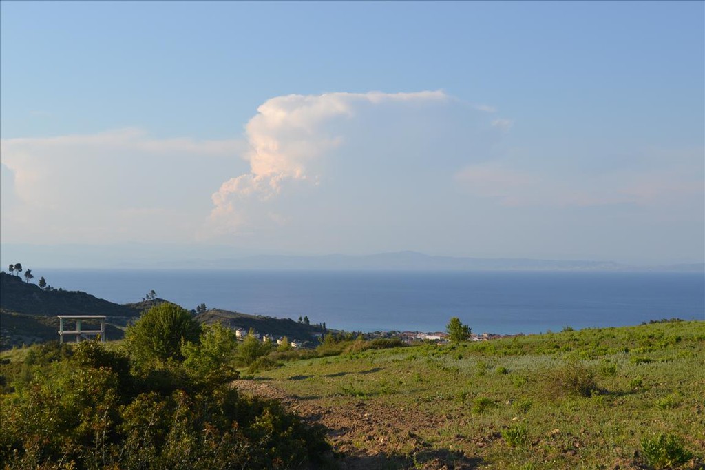 Οικόπεδο 15.400 τ.μ. προς πώληση, Πευκοχώρι