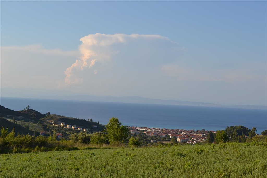 Οικόπεδο 15.400 τ.μ. προς πώληση, Πευκοχώρι