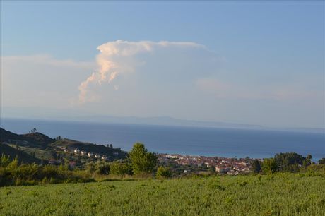 Land plot 15.400sqm for sale-Kassandra » Pefkochori