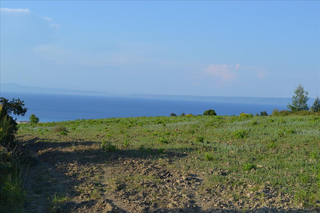 Οικόπεδο 15.400 τ.μ. προς πώληση, Πευκοχώρι
