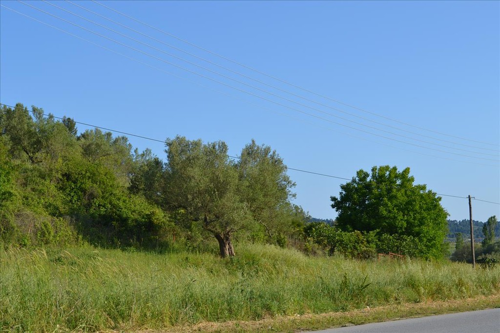 Οικόπεδο 2.300 τ.μ. προς πώληση, Καλλιθέα Κασσάνδρας